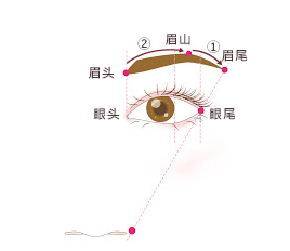 在画漂亮的眉毛前，先了解完美比例吧