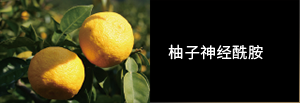 柚子神经酰胺