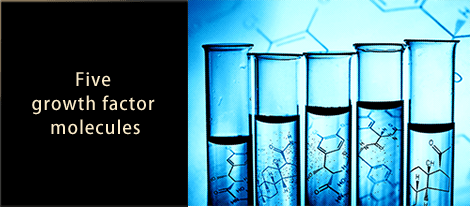 Five growth factor molecules